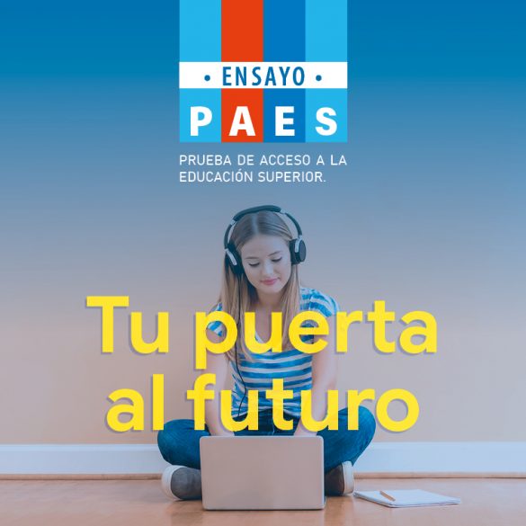 Ensayo pruebas PAES